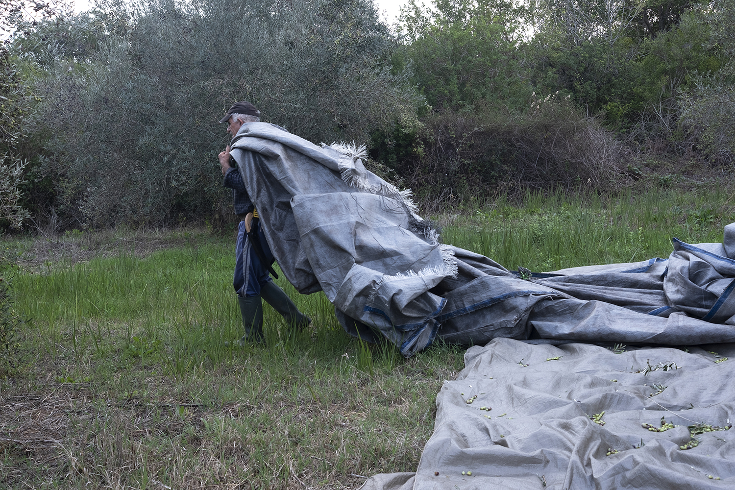 Εικόνα επιλογής